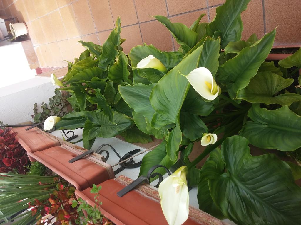 Balcon Del Velillos-"Rincon De Marcelo" Tozar المظهر الخارجي الصورة